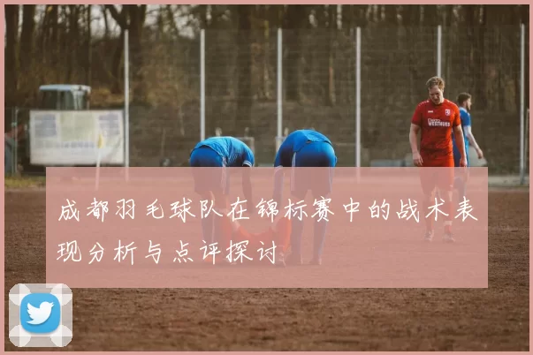 成都羽毛球队在锦标赛中的战术表现分析与点评探讨