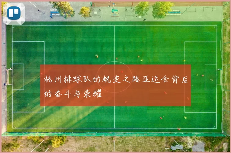杭州排球队的蜕变之路亚运会背后的奋斗与荣耀