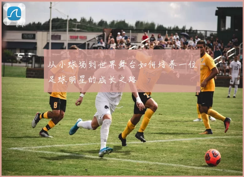 从小球场到世界舞台如何培养一位足球明星的成长之路