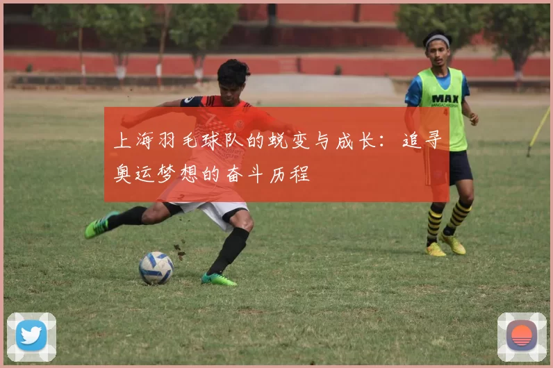 上海羽毛球队的蜕变与成长：追寻奥运梦想的奋斗历程