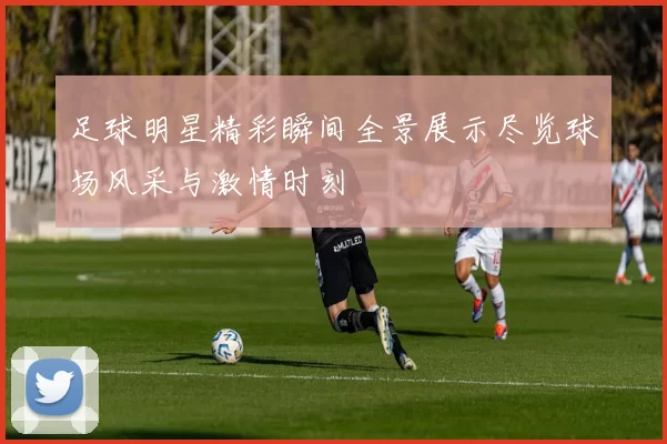 足球明星精彩瞬间全景展示尽览球场风采与激情时刻