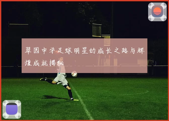 翠园中学足球明星的成长之路与辉煌成就揭秘
