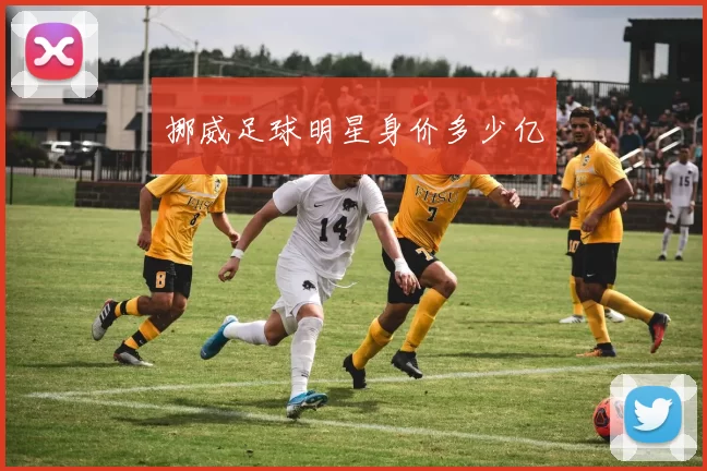 挪威足球明星身价多少亿