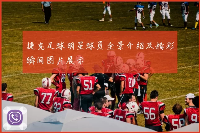 捷克足球明星球员全景介绍及精彩瞬间图片展示