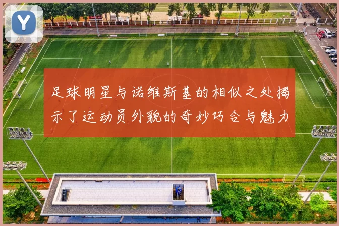 足球明星与诺维斯基的相似之处揭示了运动员外貌的奇妙巧合与魅力