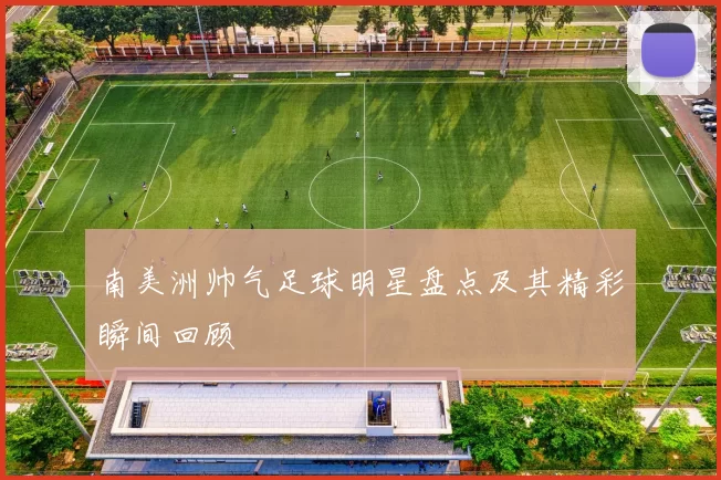 南美洲帅气足球明星盘点及其精彩瞬间回顾