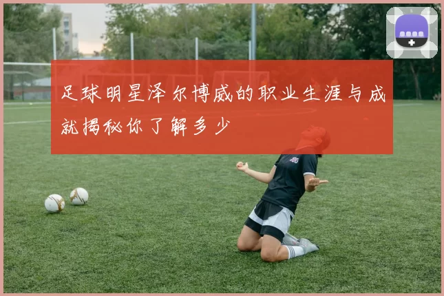 足球明星泽尔博威的职业生涯与成就揭秘你了解多少