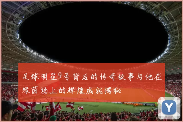 足球明星9号背后的传奇故事与他在绿茵场上的辉煌成就揭秘