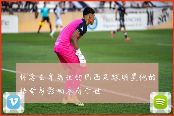 怀念去年离世的巴西足球明星他的传奇与影响永存于世