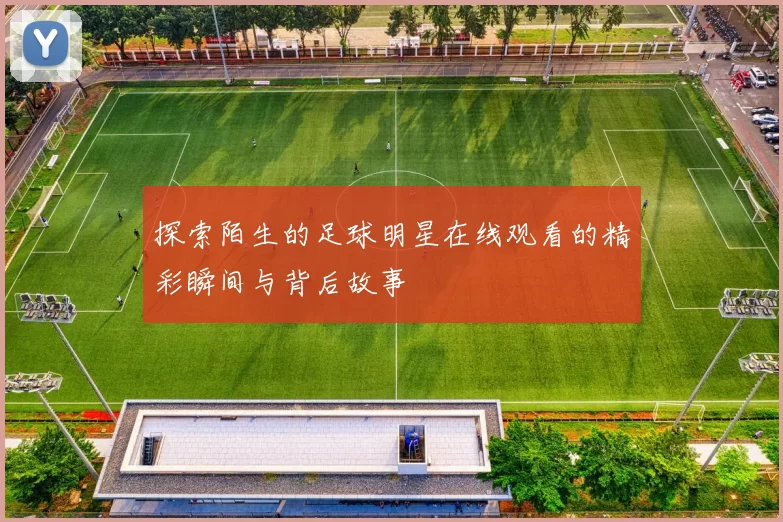 探索陌生的足球明星在线观看的精彩瞬间与背后故事