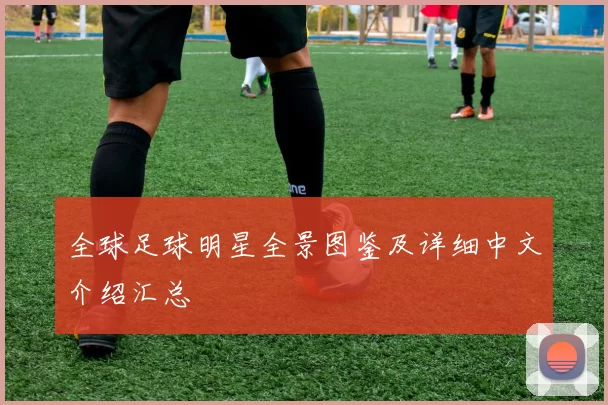 全球足球明星全景图鉴及详细中文介绍汇总