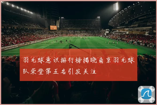 羽毛球意识排行榜揭晓南京羽毛球队荣登第五名引发关注
