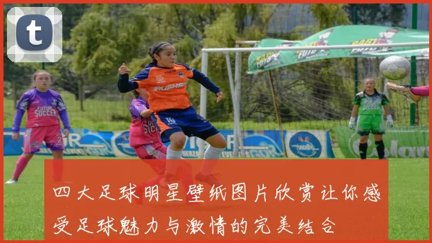 四大足球明星壁纸图片欣赏让你感受足球魅力与激情的完美结合